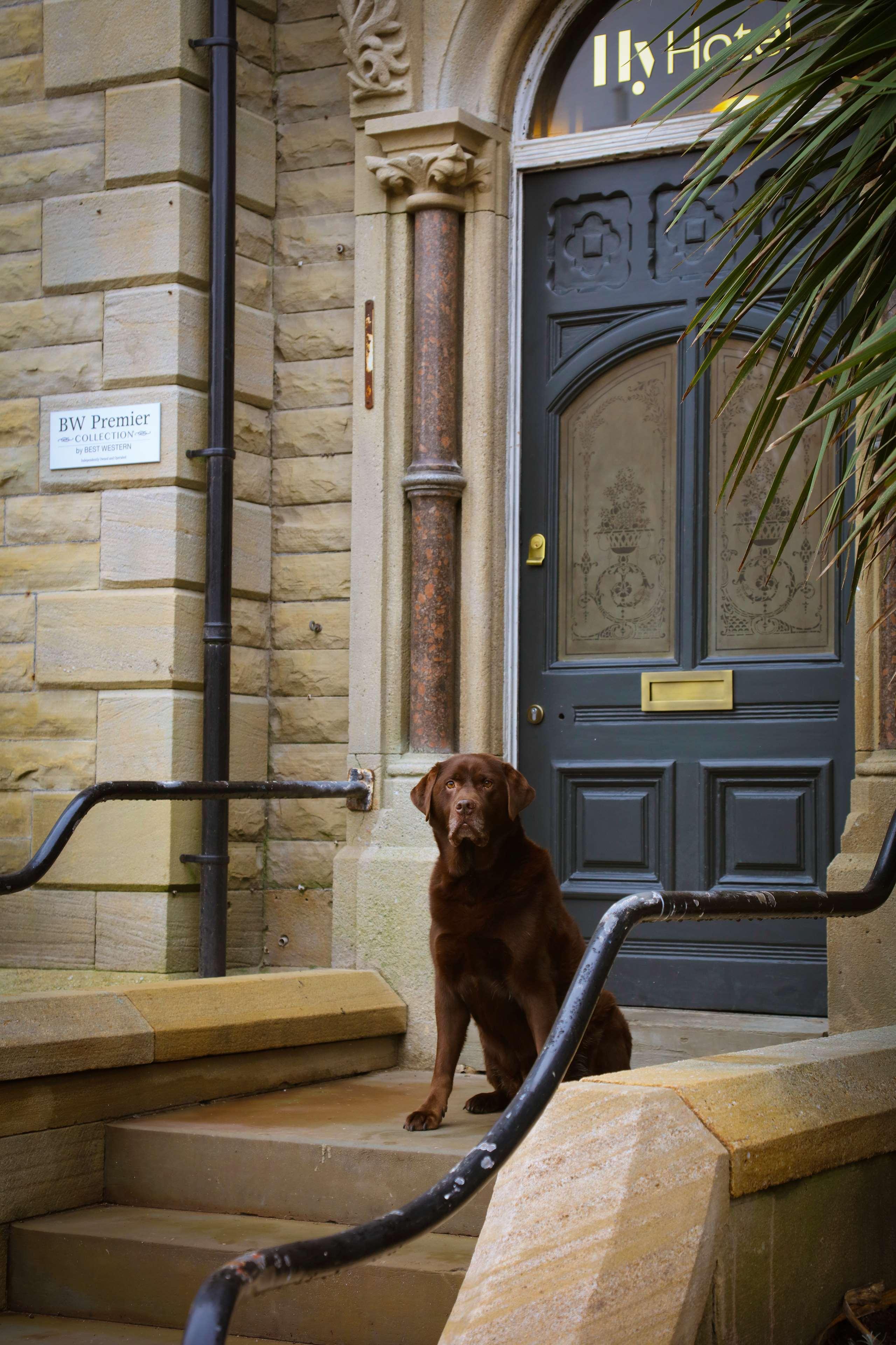 Hy Lytham St Anne'S Aparthotel Lytham St. Annes Eksteriør bilde A dog guards the entrance to the house